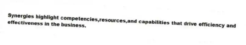 Synergies highlight competencies,resources,and capabilities that drive efficiency and effectiveness in the business.