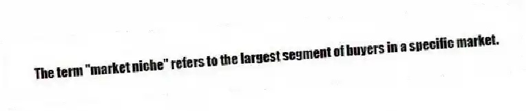 The term "market niche" refers to the largest segment of buyers in a specific market.