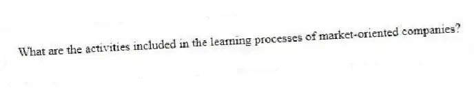 What are the activities included in the learning processes of market-oriented companies?
