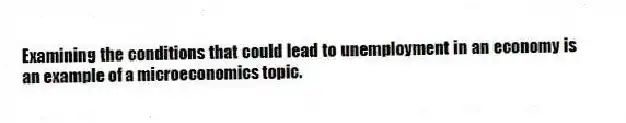 Examining the conditions that could lead to unemployment in an economy is an example of a microeconomics topic.