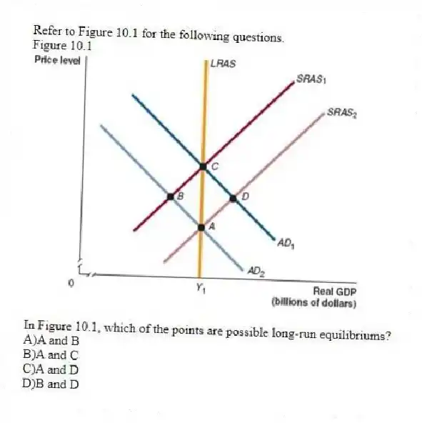 Refer to Figure 10.1 for the following questions.
Figure 10.1
-In Figure 10.1, which of the points are possible long-run equilibriums?
A)A and B
B)A and C
C)A and D
D)B and D