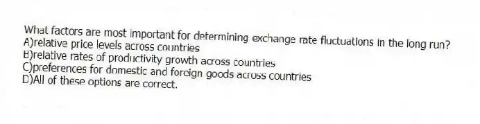 What factors are most important for determining exchange rate fluctuations in the long run?
A)relative price levels across countries
B)relative rates of productivity growth across countries
C)preferences for domestic and foreign goods across countries
D)All of these options are correct.