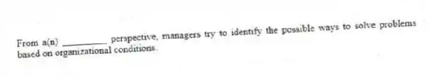 From a(n) _________ perspective, managers try to identify the possible ways to solve problems based on organizational conditions.