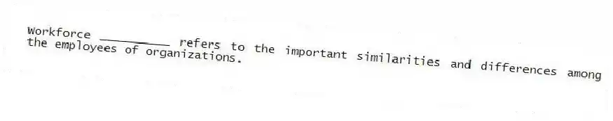 Workforce __________ refers to the important similarities and differences among the employees of organizations.