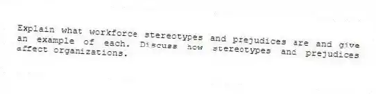 Explain what workforce stereotypes and prejudices are and give an example of each. Discuss how stereotypes and prejudices affect organizations.