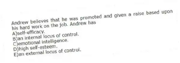 Andrew believes that he was promoted and given a raise based upon his hard work on the job. Andrew has
A)self-efficacy.
B)an internal locus of control.
C)emotional intelligence.
D)high self-esteem.
E)an external locus of control.