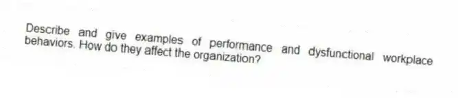 Describe and give examples of performance and dysfunctional workplace behaviors. How do they affect the organization?