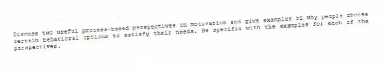 Discuss two useful process-based perspectives on motivation and give examples of why people choose certain behavioral options to satisfy their needs. Be specific with the examples for each of the perspectives.
