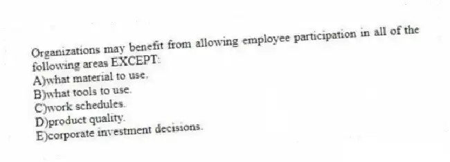 Organizations may benefit from allowing employee participation in all of the following areas EXCEPT:
A)what material to use.
B)what tools to use.
C)work schedules.
D)product quality.
E)corporate investment decisions.