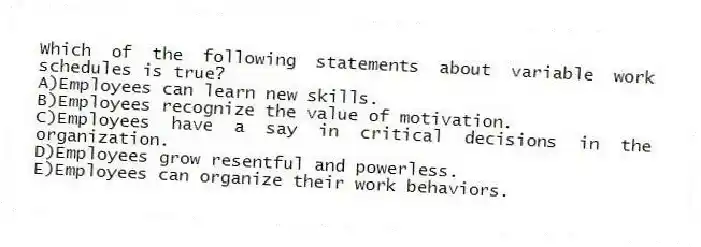 Which of the following statements about variable work schedules is true?
A)Employees can learn new skills.
B)Employees recognize the value of motivation.
C)Employees have a say in critical decisions in the organization.
D)Employees grow resentful and powerless.
E)Employees can organize their work behaviors.