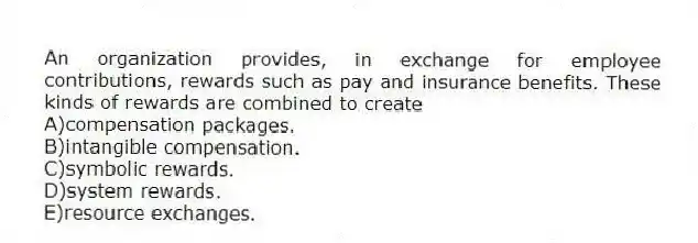 An organization provides, in exchange for employee contributions, rewards such as pay and insurance benefits. These kinds of rewards are combined to create
A)compensation packages.
B)intangible compensation.
C)symbolic rewards.
D)system rewards.
E)resource exchanges.