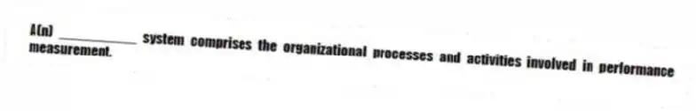A(n) __________ system comprises the organizational processes and activities involved in performance measurement.