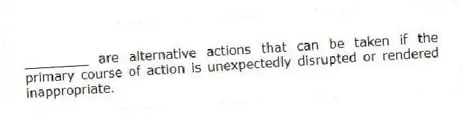 ________ are alternative actions that can be taken if the primary course of action is unexpectedly disrupted or rendered inappropriate.