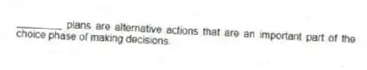 ________ plans are alternative actions that are an important part of the choice phase of making decisions.