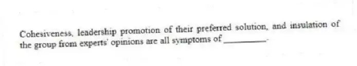 Cohesiveness, leadership promotion of their preferred solution, and insulation of the group from experts' opinions are all symptoms of _________.