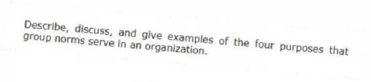 Describe, discuss, and give examples of the four purposes that group norms serve in an organization.