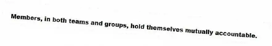 Members, in both teams and groups, hold themselves mutually accountable.