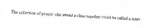 The collection of people who attend a class together could be called a team.