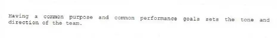 Having a common purpose and common performance goals sets the tone and direction of the team.