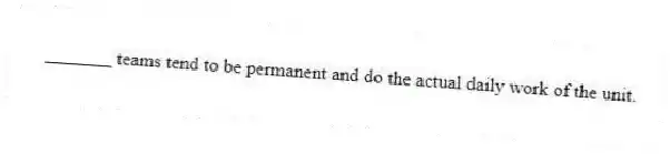 _______ teams tend to be permanent and do the actual daily work of the unit.