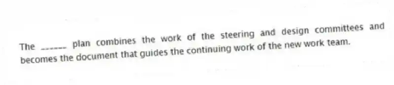 The ______ plan combines the work of the steering and design committees and becomes the document that guides the continuing work of the new work team.