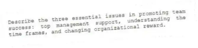 Describe the three essential issues in promoting team success: top management support, understanding the time frames, and changing organizational reward.