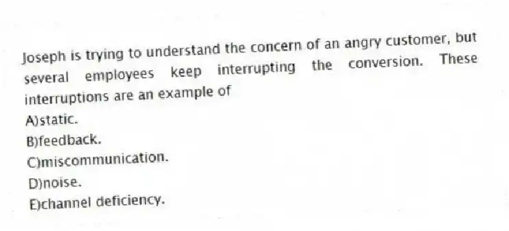 Joseph is trying to understand the concern of an angry customer, but several employees keep interrupting the conversion. These interruptions are an example of
A)static.
B)feedback.
C)miscommunication.
D)noise.
E)channel deficiency.