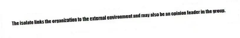 The isolate links the organization to the external environment and may also be an opinion leader in the group.