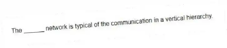 The ______ network is typical of the communication in a vertical hierarchy.
