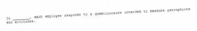 In ________, each employee responds to a questionnaire intended to measure perceptions and attitudes.