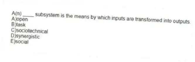 A(n) ____ subsystem is the means by which inputs are transformed into outputs.
A)open
B)task
C)sociotechnical
D)synergistic
E)social
