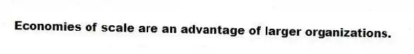 Economies of scale are an advantage of larger organizations.
