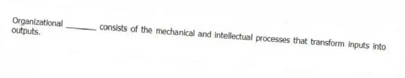 Organizational _______ consists of the mechanical and intellectual processes that transform inputs into outputs.
