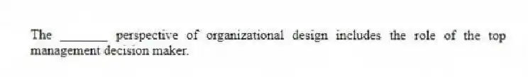 The _______ perspective of organizational design includes the role of the top management decision maker.