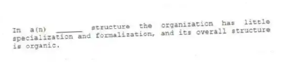 In a(n) ______ structure the organization has little specialization and formalization, and its overall structure is organic.