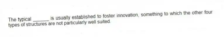 The typical ______ is usually established to foster innovation, something to which the other four types of structures are not particularly well suited.