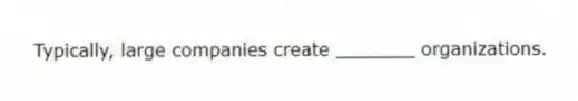 Typically, large companies create _______ organizations.