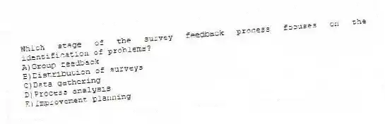 Which stage of the survey feedback process focuses on the identification of problems?
A)Group feedback
B)Distribution of surveys
C)Data gathering
D)Process analysis
E)Improvement planning