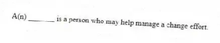 A(n) _______ is a person who may help manage a change effort.
