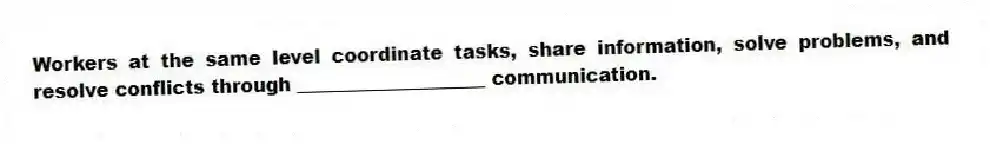 Workers at the same level coordinate tasks, share information, solve problems, and resolve conflicts through ____________________ communication.