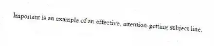 Important is an example of an effective, attention-getting subject line.