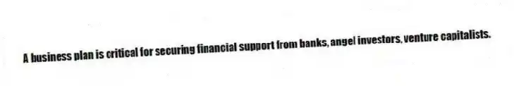 A business plan is critical for securing financial support from banks, angel investors, venture capitalists.