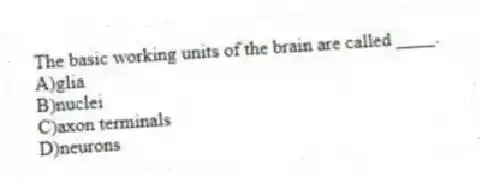 The basic working units of the brain are called ____.
A)glia
B)nuclei
C)axon terminals
D)neurons
