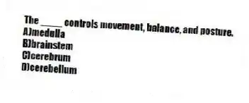The ____ controls movement, balance, and posture.
A)medulla
B)brainstem
C)cerebrum
D)cerebellum