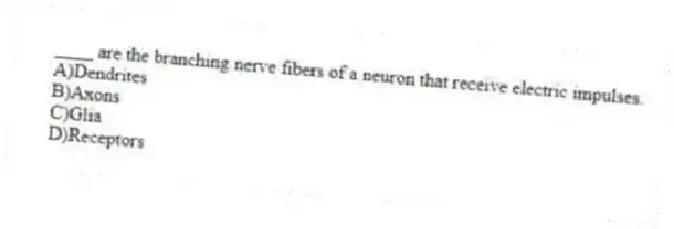 ____ are the branching nerve fibers of a neuron that receive electric impulses.
A)Dendrites
B)Axons
C)Glia
D)Receptors