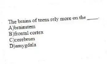 The brains of teens rely more on the ____.
A)brainstem
B)frontal cortex
C)cerebrum
D)amygdala