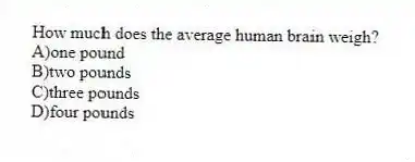 How much does the average human brain weigh?
A)one pound
B)two pounds
C)three pounds
D)four pounds