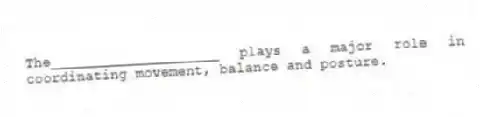 The____________________ plays a major role in coordinating movement, balance and posture.