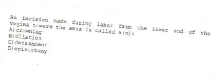 An incision made during labor from the lower end of the vagina toward the anus is called a(n):
A)crowning
B)dilation
C)detachment
D)episiotomy
