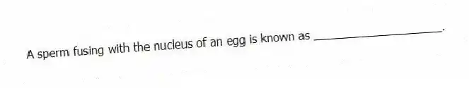 A sperm fusing with the nucleus of an egg is known as ____________________.